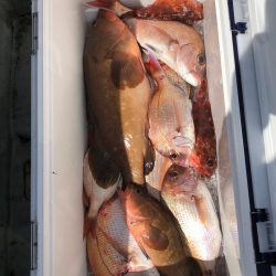 フィッシング キッタカ 釣果