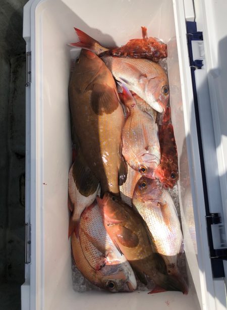 フィッシング キッタカ 釣果