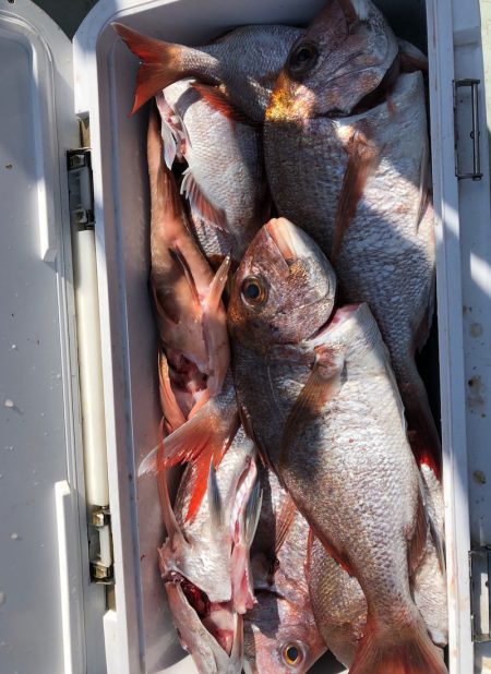 フィッシング キッタカ 釣果