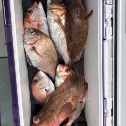 フィッシング キッタカ 釣果