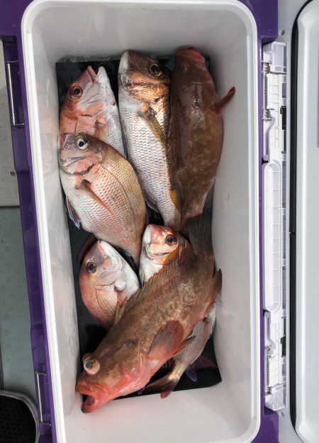 フィッシング キッタカ 釣果