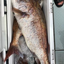 フィッシング キッタカ 釣果