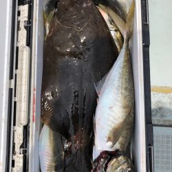 フィッシング キッタカ 釣果