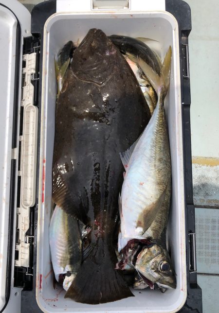 フィッシング キッタカ 釣果