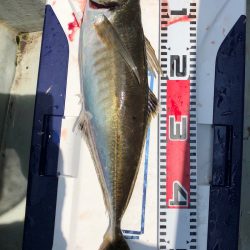 フィッシング キッタカ 釣果