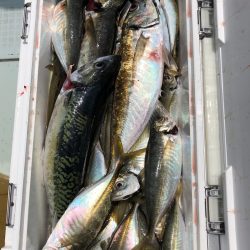 フィッシング キッタカ 釣果