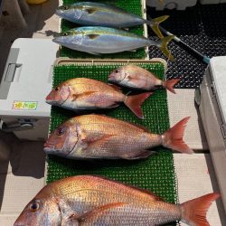 釣人家 釣果