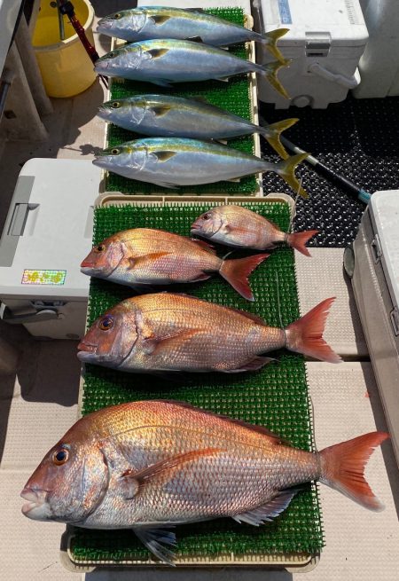 釣人家 釣果