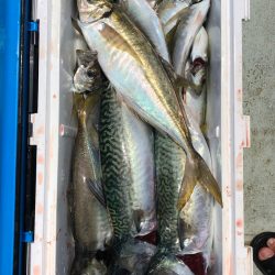 フィッシング キッタカ 釣果