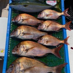 釣人家 釣果