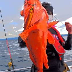 渡船屋たにぐち 釣果