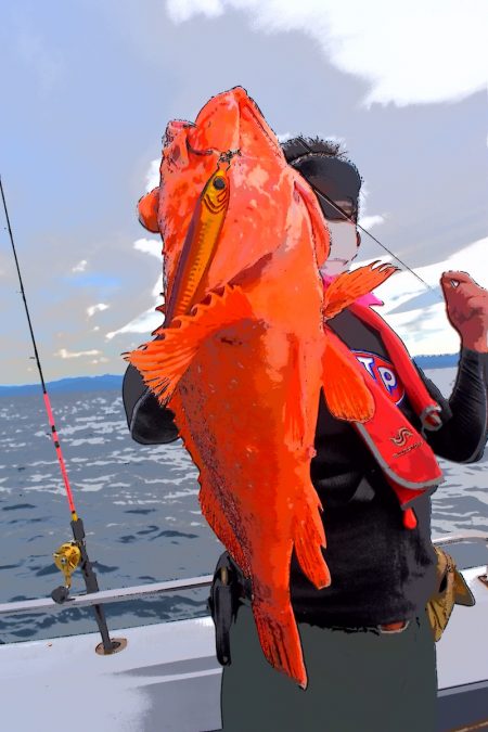 渡船屋たにぐち 釣果