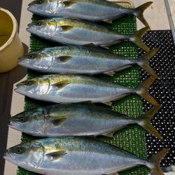 釣人家 釣果