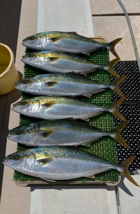釣人家 釣果