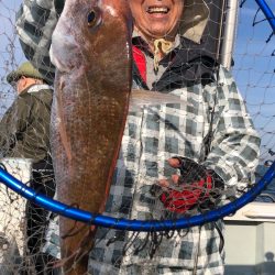 フィッシング キッタカ 釣果