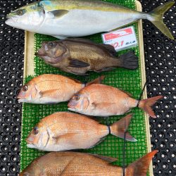 釣人家 釣果