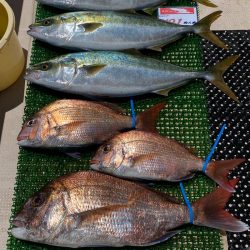 釣人家 釣果