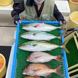 釣人家 釣果