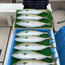 釣人家 釣果