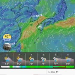 末広丸(熊本) 釣果