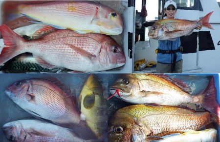 Big One ビッグワン 釣果