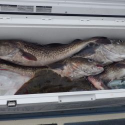 Big One ビッグワン 釣果