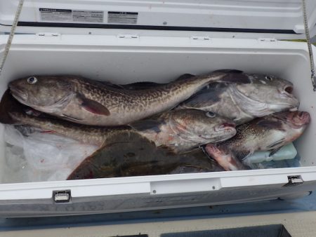 Big One ビッグワン 釣果