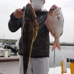 JDI Racing シールズマリンレジャー 釣果