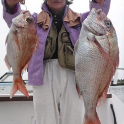 JDI Racing シールズマリンレジャー 釣果