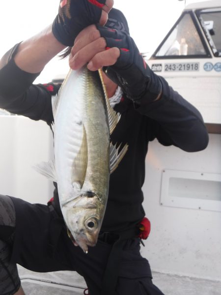 ＪＤＩ　Ｒａｃｉｎｇ　シールズマリンレジャ…