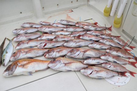 KIM Fishing Guide Ser…