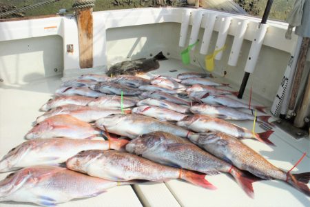 KIM Fishing Guide Ser…