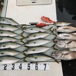 オーシャンスター(Ocean Star) 釣果