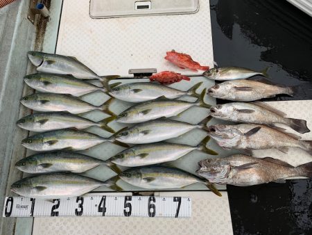 オーシャンスター(Ocean Star) …