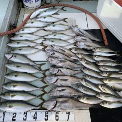 オーシャンスター(Ocean Star) 釣果