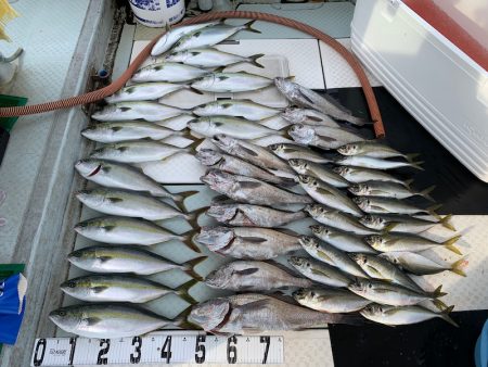 オーシャンスター(Ocean Star) …