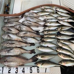 オーシャンスター(Ocean Star) 釣果