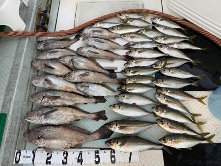 オーシャンスター(Ocean Star) …