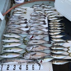 オーシャンスター(Ocean Star) 釣果