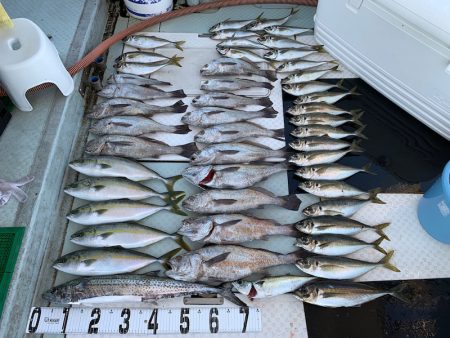 オーシャンスター(Ocean Star) …