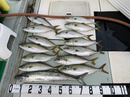 オーシャンスター(Ocean Star) …