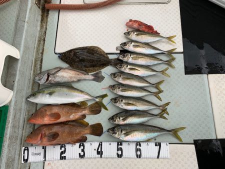 オーシャンスター(Ocean Star) …