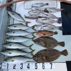 オーシャンスター(Ocean Star) 釣果