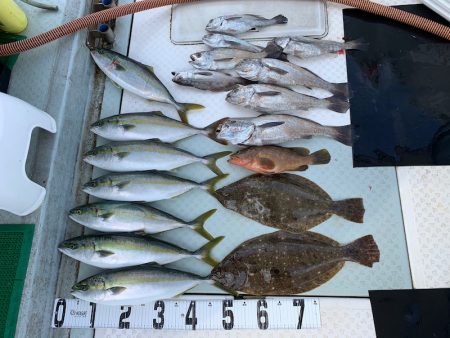 オーシャンスター(Ocean Star) …