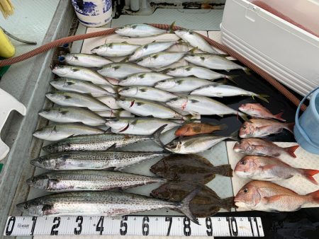 オーシャンスター(Ocean Star) …