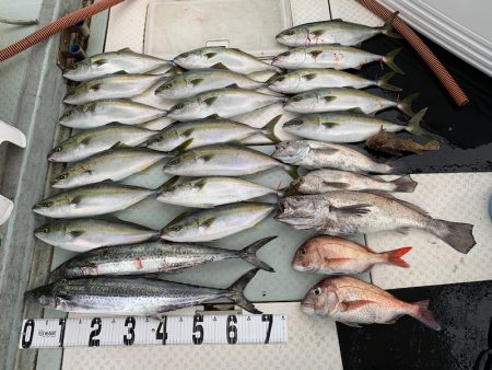 オーシャンスター(Ocean Star) …