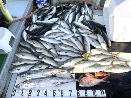 オーシャンスター(Ocean Star) …