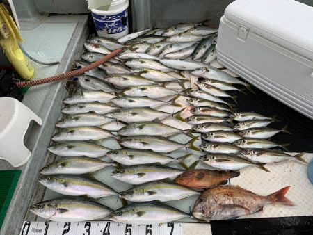 オーシャンスター(Ocean Star) …