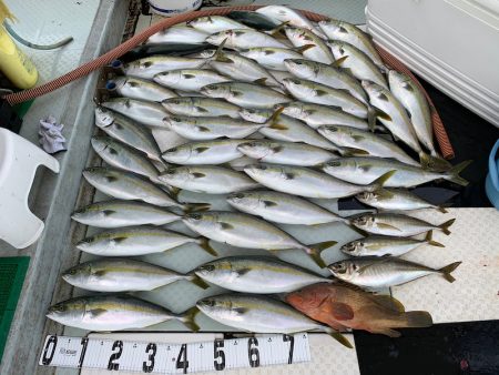 オーシャンスター(Ocean Star) …