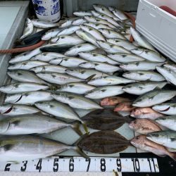 オーシャンスター(Ocean Star) 釣果